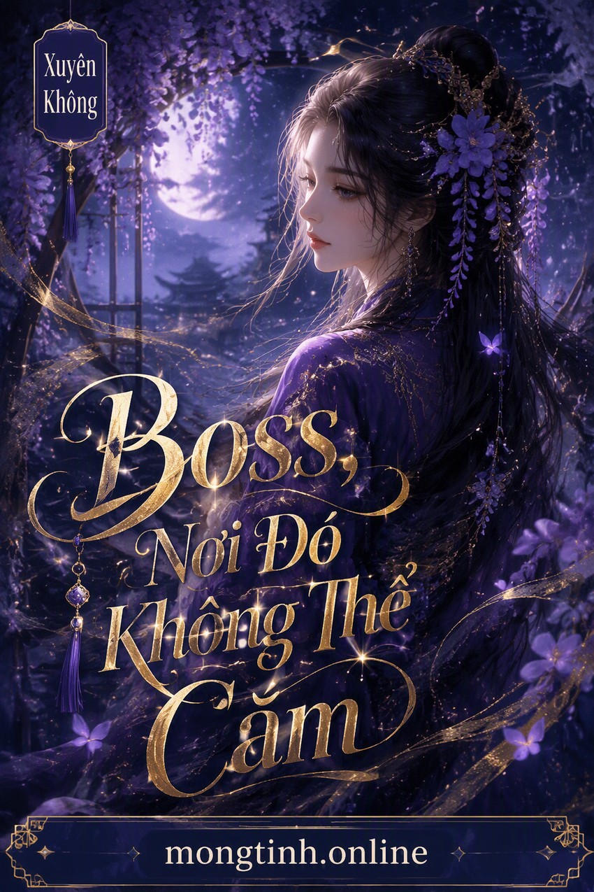 Boss, Nơi Đó Không Thể Cắm