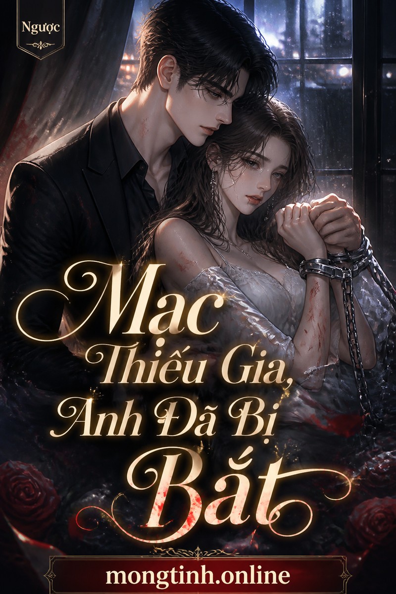 Mặc Thiếu Gia, Anh Đã Bị Bắt