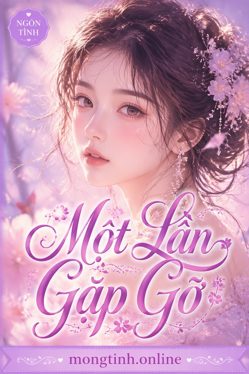 Một Lần Gặp Gỡ