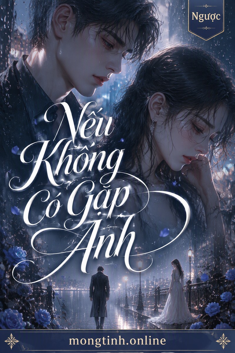 Nếu Không Có Gặp Anh